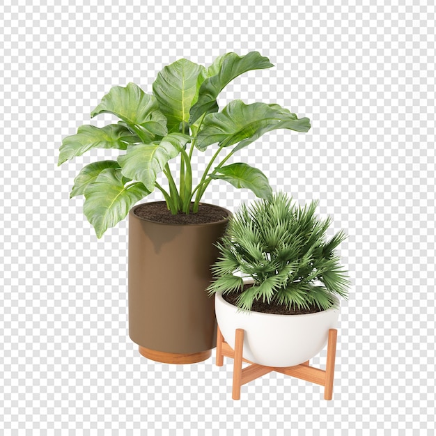 Plantas de belleza en maceta en representación 3d aisladas