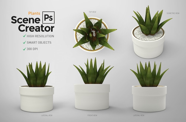 Plantas creador de escena. recurso.