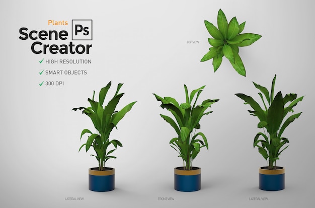 Plantas creador de escena.