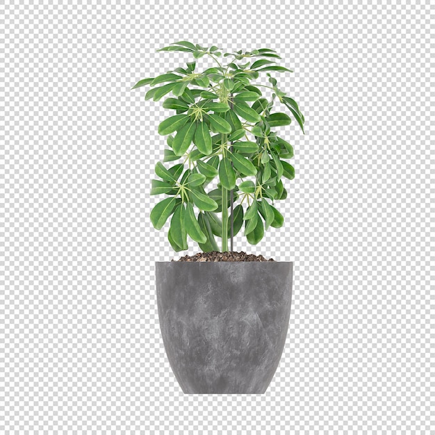 Plantas de casa de maquetes 3d de arte de plantas verdes em flores