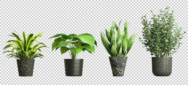 Plantas de casa em vasos decorativos interiores cortados fundos renderização 3d