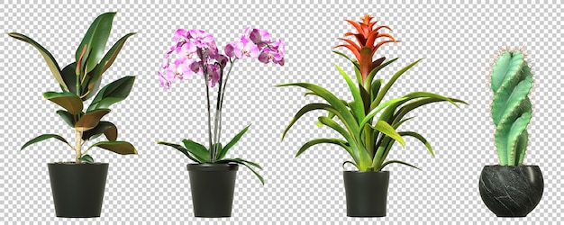 PSD plantas de casa ornamentais em fundos transparentes ilustração 3d