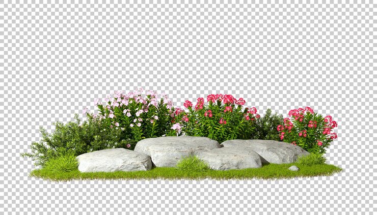 PSD plantas de flores de design de jardim e rochas em fundos transparentes renderização em 3d