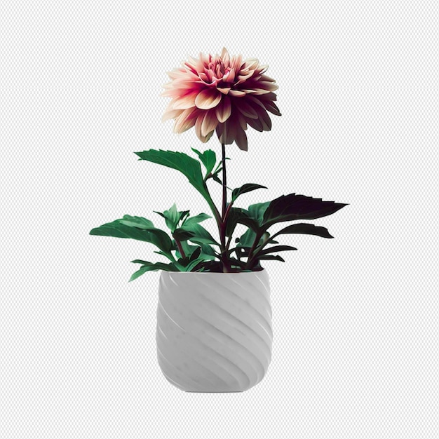 PSD plantas decorativas