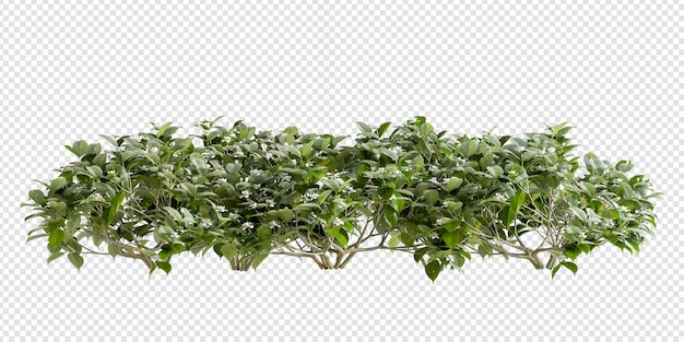 Plantas e arbustos em renderização 3d isoladas