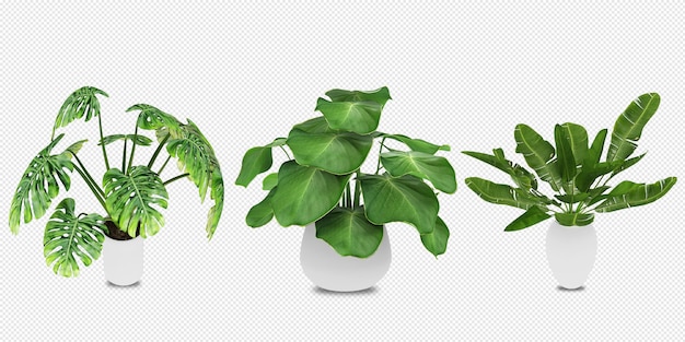 Plantas em vasos em 3d renderizadas isoladas