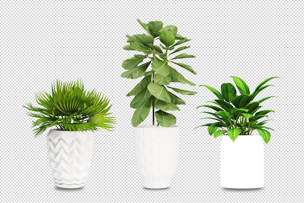 Plantas em vasos em 3d renderizadas isoladas