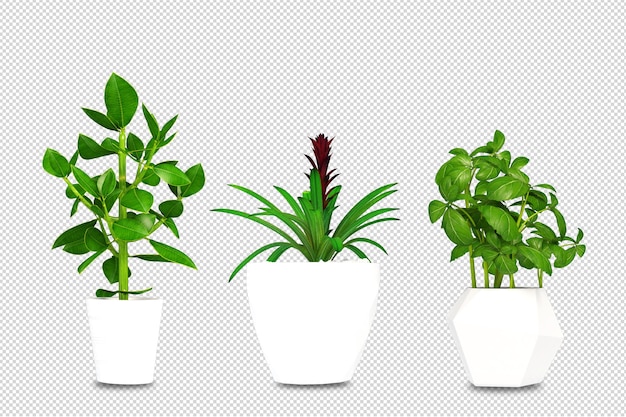 Plantas em vasos em 3d renderizadas isoladas