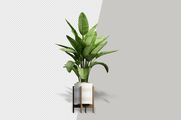 Plantas em vasos em 3d renderizadas isoladas