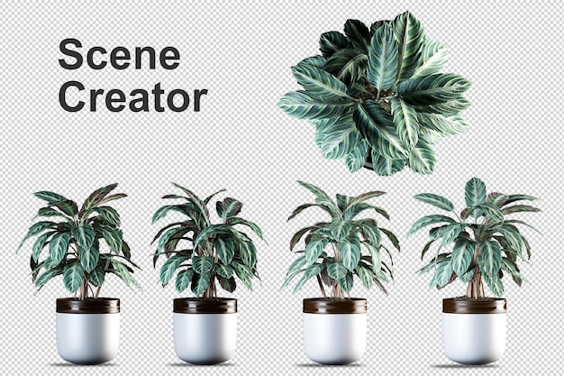 Plantas em vasos em renderização 3d isoladas