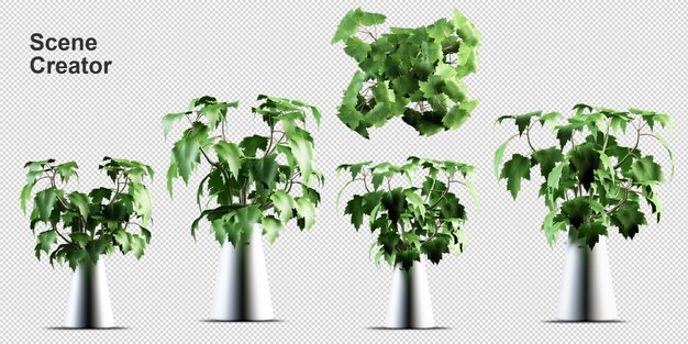 Plantas em vasos em renderização 3d isoladas