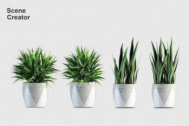 Plantas em vasos em renderização 3d isoladas