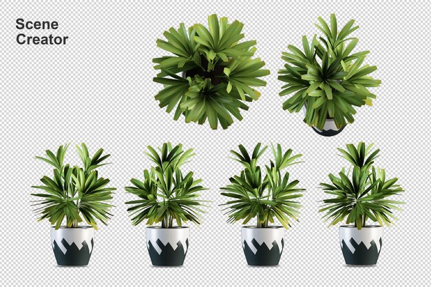 Plantas em vasos em renderização 3d isoladas