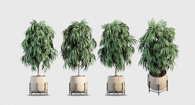 PSD plantas em vasos renderizados em 3d