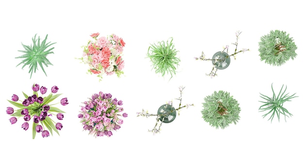 Plantas de interior con ilustraciones a color plano Reales plantas de interior en maceta beige en soportes metálicos desde arriba