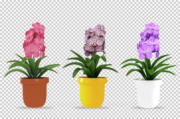 PSD plantas isométricas en maceta render 3d