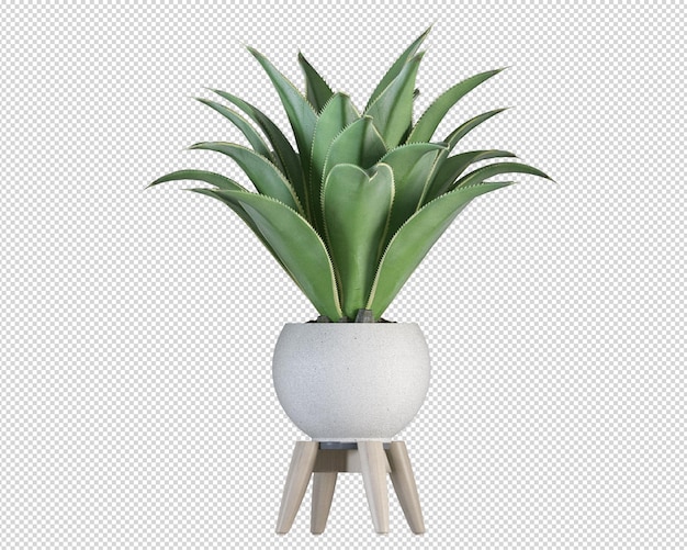 Plantas isométricas en representación 3d