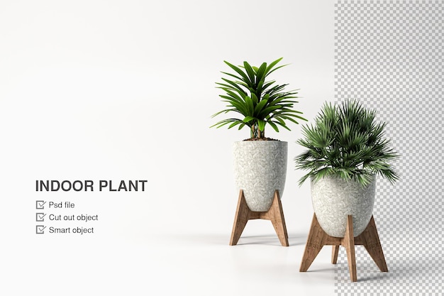 Plantas en maceta de diseño aislado
