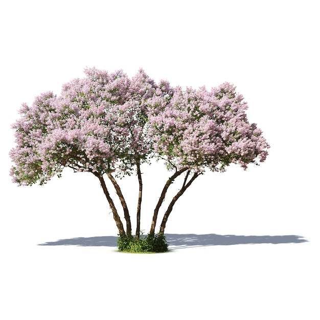 Plantas en maceta y flores colgantes para la decoración interior y exterior