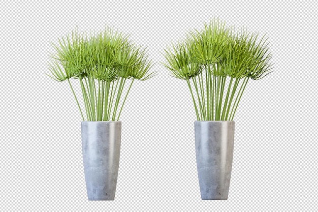 Plantas en maceta en renderizado 3d