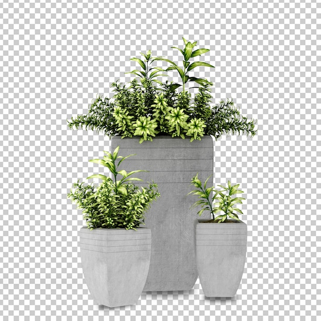 Plantas en macetas en 3D prestados aislado