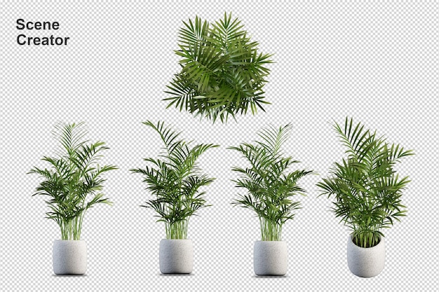 Plantas en macetas en 3d prestados