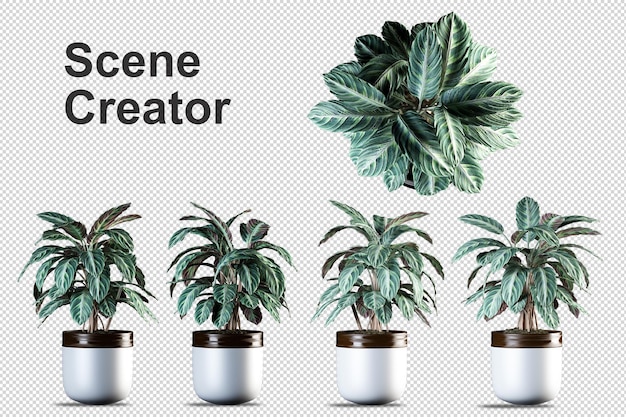 PSD plantas en macetas en 3d rendering aislado