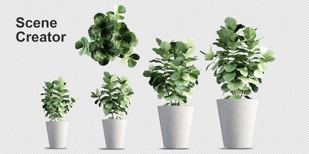 Plantas en macetas en 3d rendering aislado