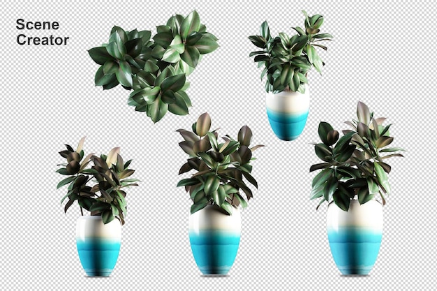 Plantas en macetas en 3D rendering aislado