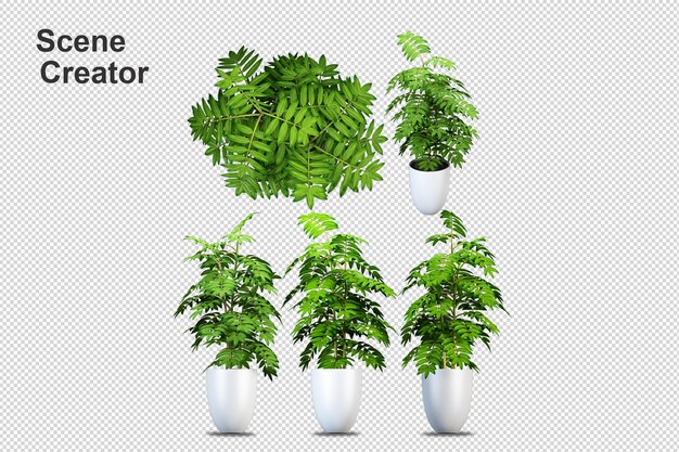 Plantas en macetas en 3d rendering aislado