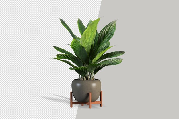 Plantas en macetas en 3d rendering aislado