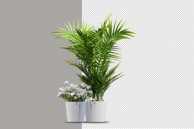 Plantas en macetas en renderizado 3d