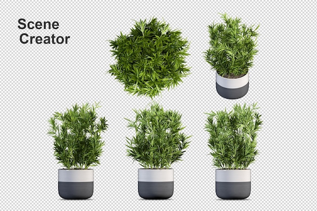 Plantas en macetas en representación 3d aisladas
