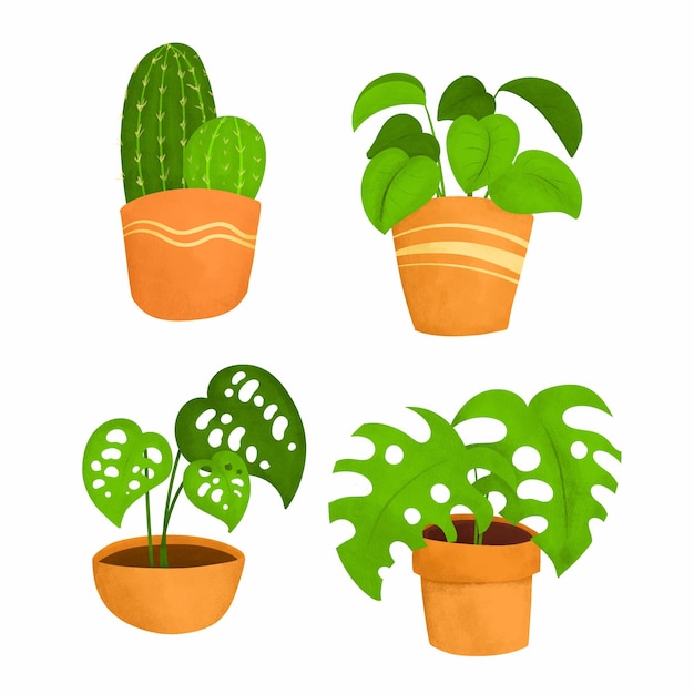 Plantas ornamentais em vasos desenham para decorar o design de pintura do jardim