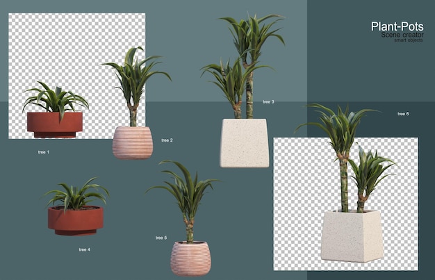 Plantas ornamentais em vasos