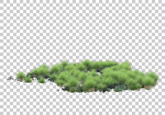 Plantas realistas na ilustração de renderização 3d de fundo transparente