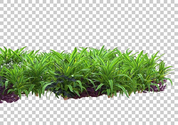 Plantas realistas sobre fondo transparente Ilustración de renderizado 3d