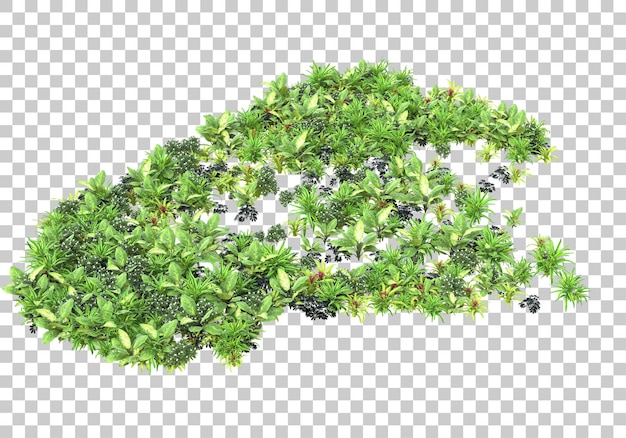 Plantas realistas sobre fondo transparente ilustración de renderizado 3d