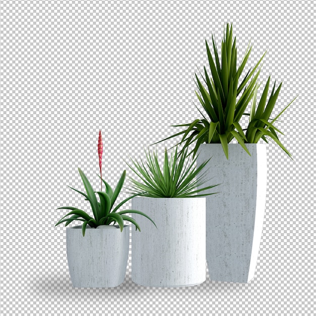 Plantas en render 3d