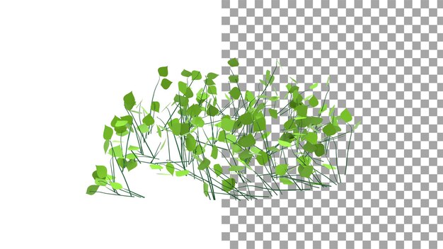 Plantas trepadoras sin sombra 3D Render
