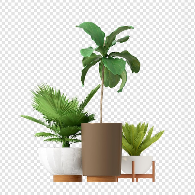 Plantas tropicales en renderizado 3d