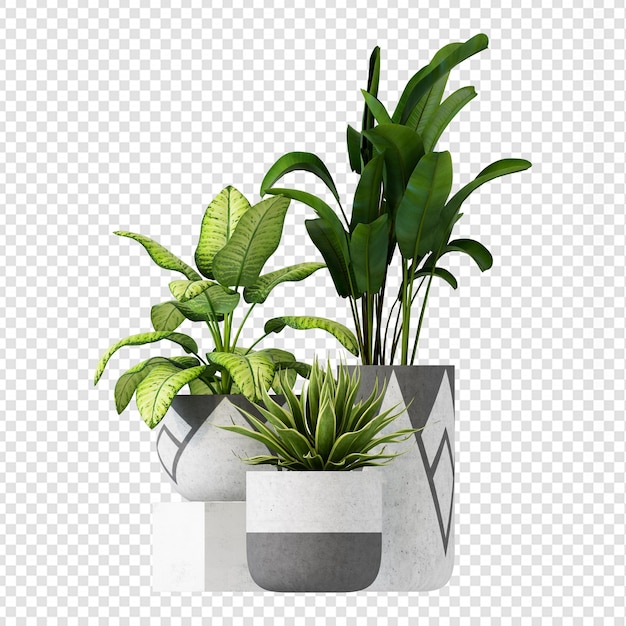 Plantas tropicales en renderizado 3d