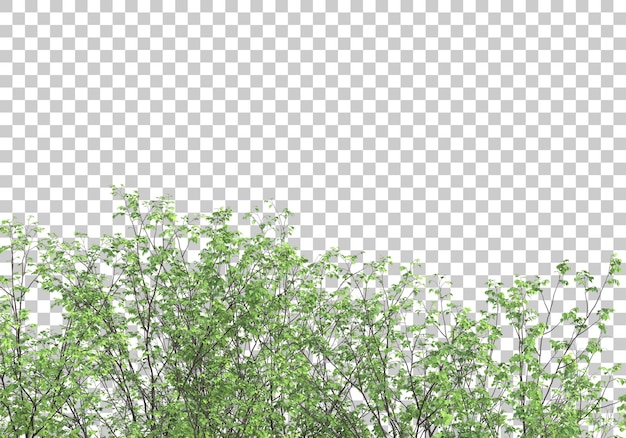 Plantas verdes com ilustração de renderização 3d de fundo transparente