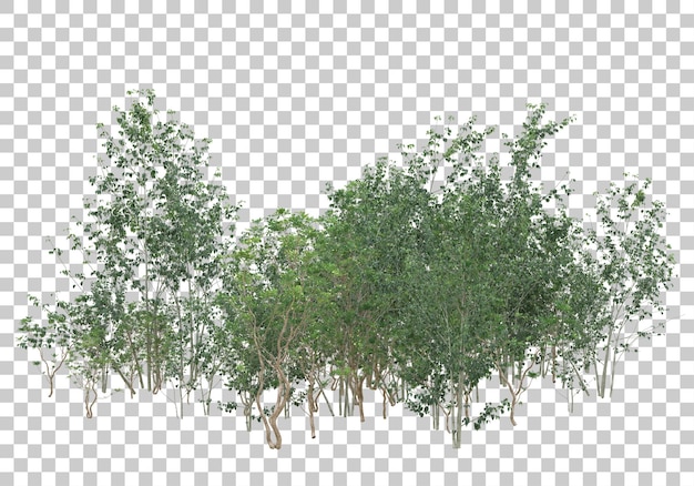 Plantas verdes e flores na ilustração de renderização 3d de fundo transparente