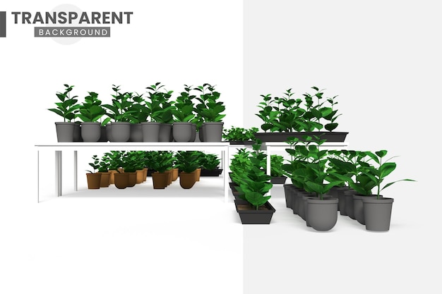 Plantas verdes em fundo transparente
