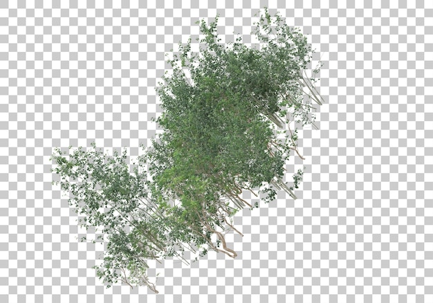 Plantas verdes y flores sobre fondo transparente Ilustración de renderizado 3d