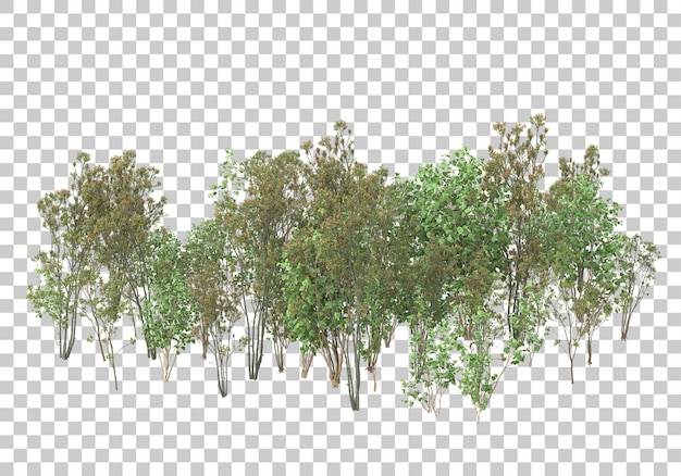 Plantas verdes y flores sobre fondo transparente ilustración de renderizado 3d