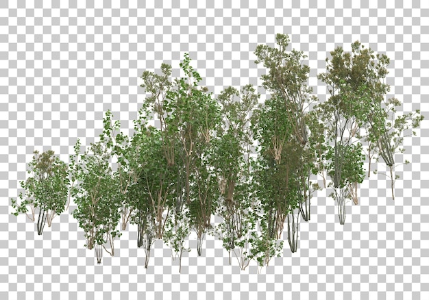 Plantas verdes y flores sobre fondo transparente Ilustración de renderizado 3d