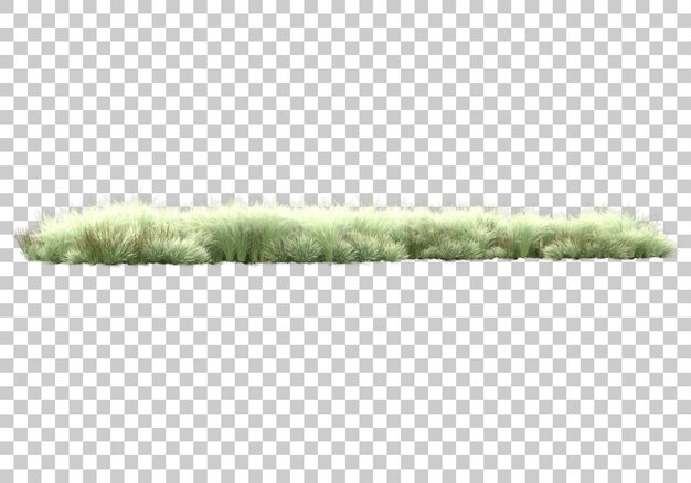 Plantas verdes y flores sobre fondo transparente Ilustración de renderizado 3d