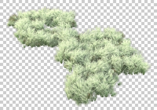 Plantas verdes y flores sobre fondo transparente Ilustración de renderizado 3d